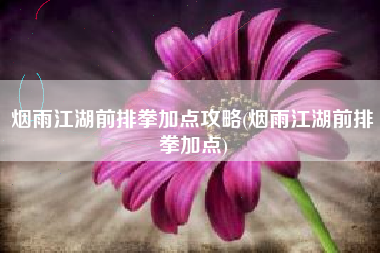 烟雨江湖前排拳加点攻略(烟雨江湖前排拳加点)