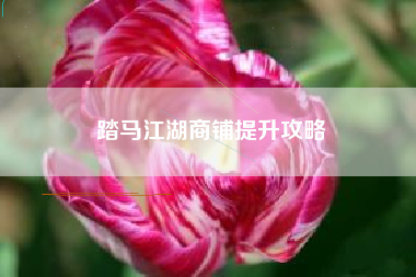 踏马江湖商铺提升攻略