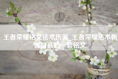 王者荣耀铭文法术伤害_王者荣耀法术伤害最高的一套铭文