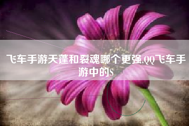 飞车手游天蓬和裂魂哪个更强,QQ飞车手游中的S