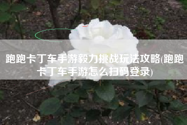 跑跑卡丁车手游毅力挑战玩法攻略(跑跑卡丁车手游怎么扫码登录)