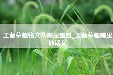 王者荣耀铭文从哪里重置_王者荣耀哪里抽铭文