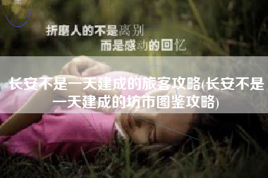 长安不是一天建成的旅客攻略(长安不是一天建成的坊市图鉴攻略)