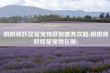 阴阳师妖怪屋宠物获取喂养攻略(阴阳师妖怪屋宠物在哪)