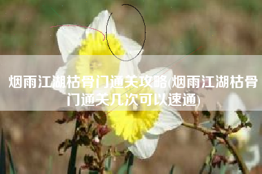 烟雨江湖枯骨门通关攻略(烟雨江湖枯骨门通关几次可以速通)