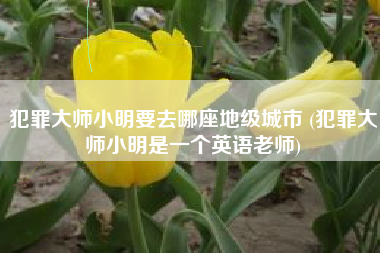 犯罪大师小明要去哪座地级城市 (犯罪大师小明是一个英语老师)