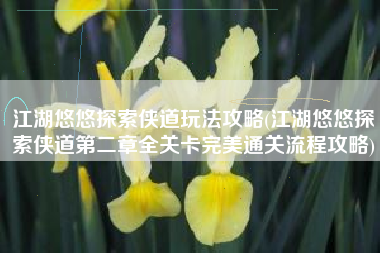 江湖悠悠探索侠道玩法攻略(江湖悠悠探索侠道第二章全关卡完美通关流程攻略)