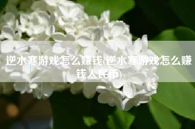 逆水寒游戏怎么赚钱(逆水寒游戏怎么赚钱人民币)