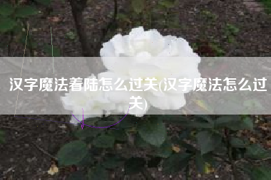 汉字魔法着陆怎么过关(汉字魔法怎么过关)