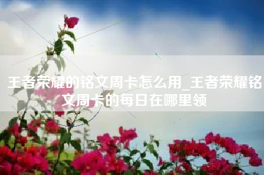王者荣耀的铭文周卡怎么用_王者荣耀铭文周卡的每日在哪里领