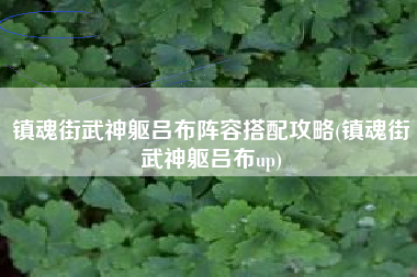 镇魂街武神躯吕布阵容搭配攻略(镇魂街武神躯吕布up)