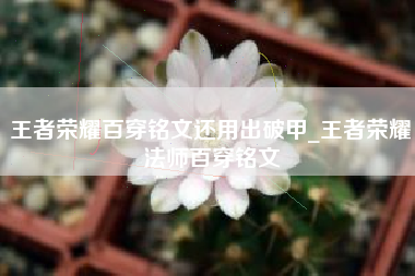 王者荣耀百穿铭文还用出破甲_王者荣耀法师百穿铭文