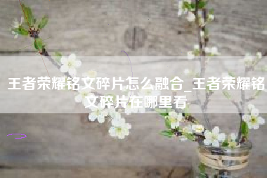 王者荣耀铭文碎片怎么融合_王者荣耀铭文碎片在哪里看