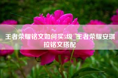 王者荣耀铭文如何买5级_王者荣耀安琪拉铭文搭配