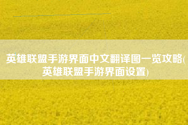 英雄联盟手游界面中文翻译图一览攻略(英雄联盟手游界面设置)