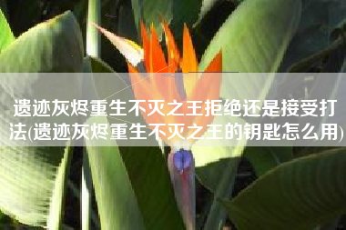 遗迹灰烬重生不灭之王拒绝还是接受打法(遗迹灰烬重生不灭之王的钥匙怎么用)