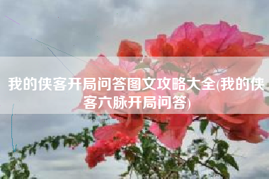 我的侠客开局问答图文攻略大全(我的侠客六脉开局问答)