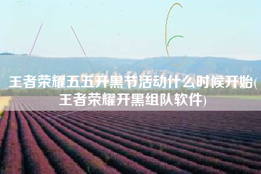 王者荣耀五五开黑节活动什么时候开始(王者荣耀开黑组队软件)