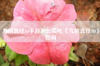 九阴真经3d手游怎么买号,《九阴真经3D》如何