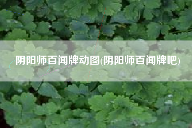 阴阳师百闻牌动图(阴阳师百闻牌吧)