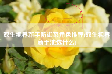 双生视界新手防御系角色推荐(双生视界新手池选什么)