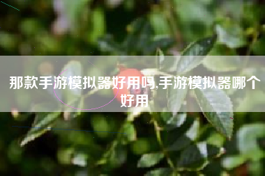 那款手游模拟器好用吗,手游模拟器哪个好用