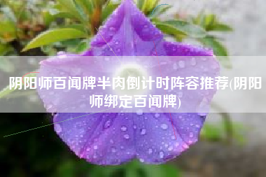 阴阳师百闻牌半肉倒计时阵容推荐(阴阳师绑定百闻牌)