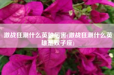激战狂潮什么英雄厉害(激战狂潮什么英雄是双子座)