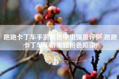 跑跑卡丁车手游黑色甲虫强度评测(跑跑卡丁车手游黑妞粉色喷漆)