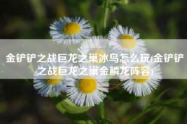 金铲铲之战巨龙之巢冰鸟怎么玩(金铲铲之战巨龙之巢金鳞龙阵容)