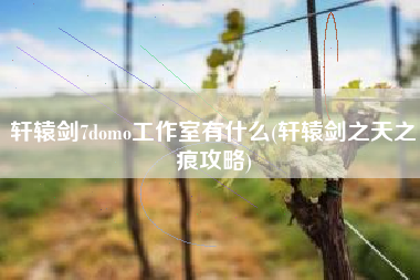 轩辕剑7domo工作室有什么(轩辕剑之天之痕攻略)
