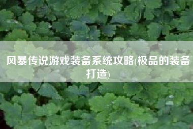 风暴传说游戏装备系统攻略(极品的装备打造)