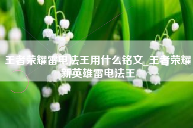 王者荣耀雷电法王用什么铭文_王者荣耀新英雄雷电法王