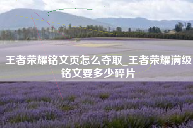 王者荣耀铭文页怎么夺取_王者荣耀满级铭文要多少碎片