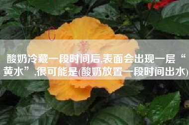 酸奶冷藏一段时间后,表面会出现一层“黄水”,很可能是(酸奶放置一段时间出水)
