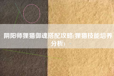 阴阳师狸猫御魂搭配攻略(狸猫技能培养分析)