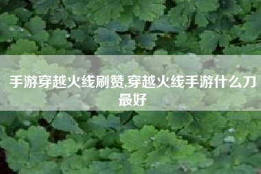 手游穿越火线刷赞,穿越火线手游什么刀最好