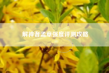 解神者孟章强度评测攻略