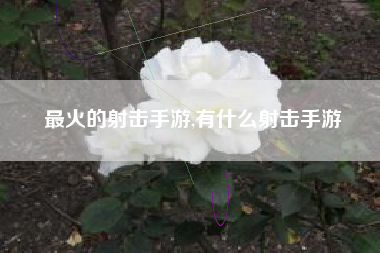 最火的射击手游,有什么射击手游