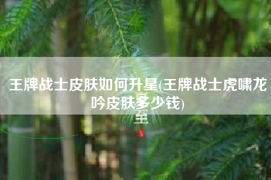 王牌战士皮肤如何升星(王牌战士虎啸龙吟皮肤多少钱)