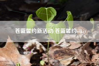 苍蓝誓约新活动(苍蓝誓约wiki)