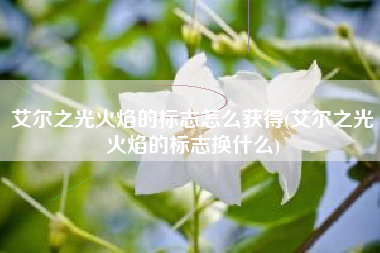 艾尔之光火焰的标志怎么获得(艾尔之光火焰的标志换什么)