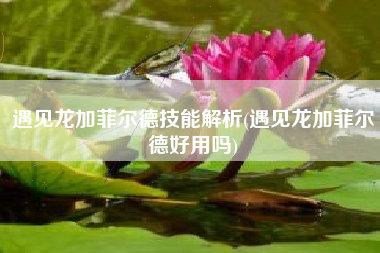遇见龙加菲尔德技能解析(遇见龙加菲尔德好用吗)