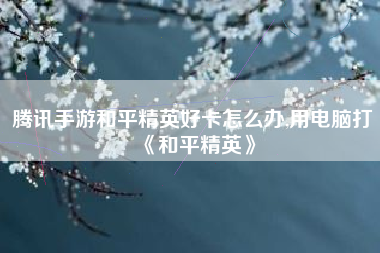 腾讯手游和平精英好卡怎么办,用电脑打《和平精英》