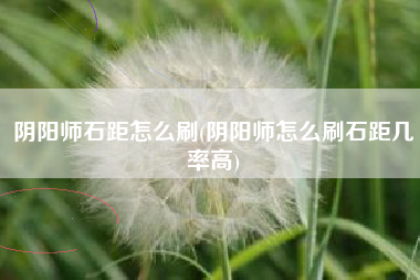 阴阳师石距怎么刷(阴阳师怎么刷石距几率高)