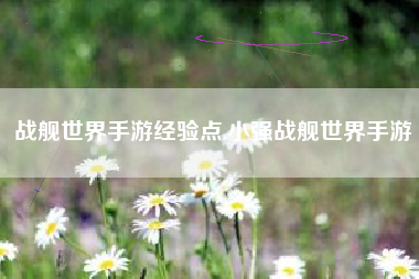 战舰世界手游经验点,小强战舰世界手游
