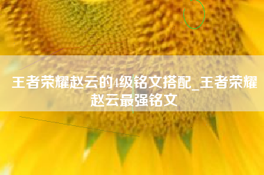 王者荣耀赵云的4级铭文搭配_王者荣耀赵云最强铭文