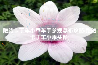 跑跑卡丁车小乖车手参观瀑布攻略(跑跑卡丁车小乖头像)