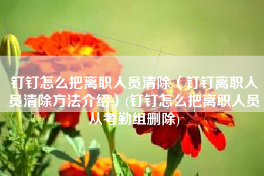 钉钉怎么把离职人员清除（钉钉离职人员清除方法介绍）(钉钉怎么把离职人员从考勤组删除)