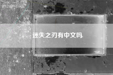 迷失之刃有中文吗